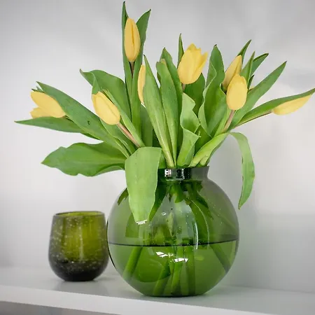 Apartmán Ksiezycowy - Mlyn Maria - Art