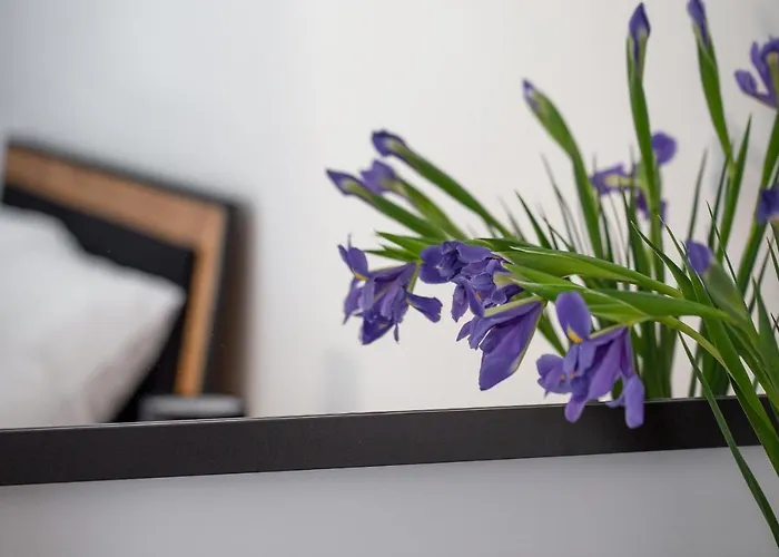 Ksiezycowy - Mlyn Maria - Art *