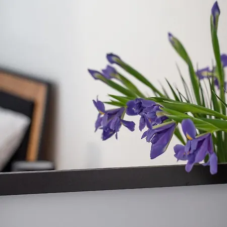 Ksiezycowy - Mlyn Maria - Art *