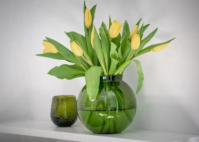 Апартаменты Ksiezycowy - Mlyn Maria - Art